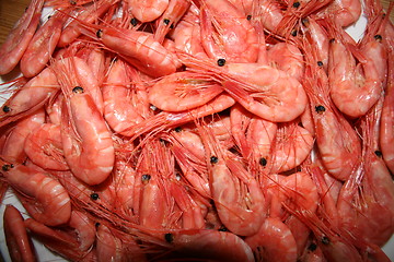 Image showing Shrimp