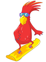 Image showing Funny Parrot. Snowboarding