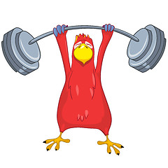 Image showing Funny Parrot. Gym