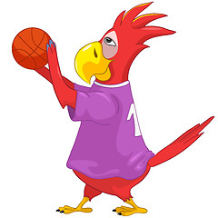 Image showing Funny Parrot. Basketball.