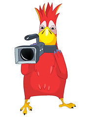 Image showing Funny Parrot. Cameraman.