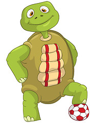 Image showing Funny Turtle. Soccer Player.