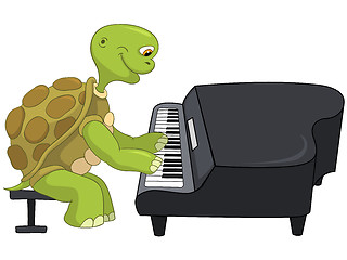 Image showing Funny Turtle. Pianist.