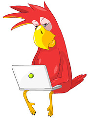 Image showing Funny Parrot. Coder.