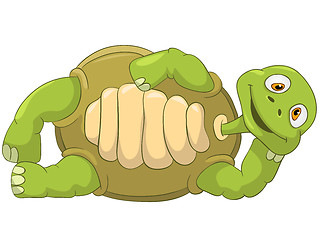 Image showing Funny Turtle. Lie.