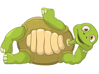 Image showing Funny Turtle. Lie.