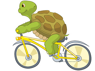 Image showing Funny Turtle. Biker.