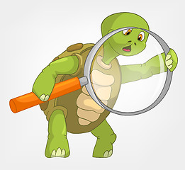 Image showing Funny Turtle. Finding.