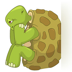 Image showing Funny Turtle. Confusion.