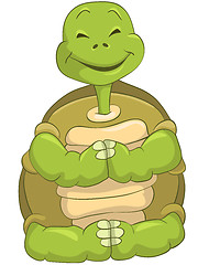 Image showing Funny Turtle