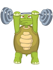 Image showing Funny Turtle. Gym.