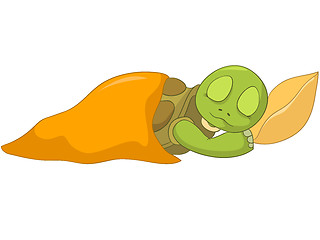 Image showing Funny Turtle. Baby Sleeping