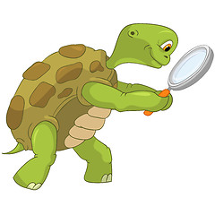 Image showing Funny Turtle. Finding.