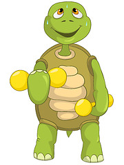 Image showing Funny Turtle. Gym.