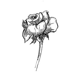 Image showing Rose Retro Clip art 