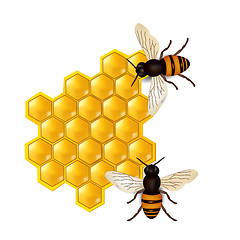 Image showing honeycombs with honey bees 