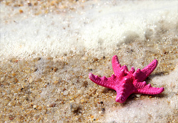 Image showing Pink starfish on the beach