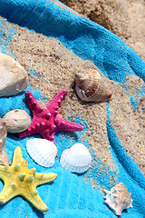 Image showing Sea composition of starfishes and shells 