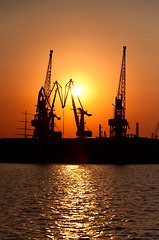 Image showing Cranes at Sunset