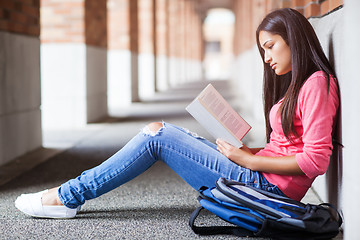 Image showing Hispanic college student studying