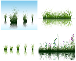 Image showing grass on water