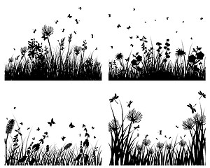 Image showing meadow silhouettes