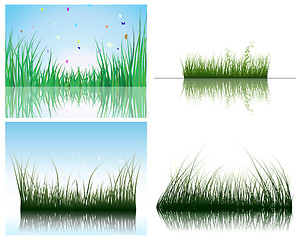 Image showing grass on water