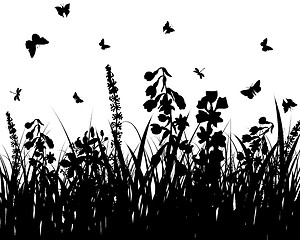 Image showing meadow silhouettes