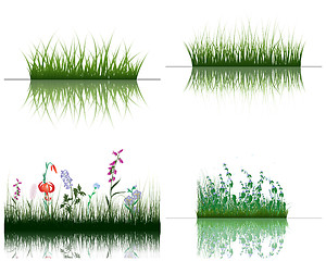 Image showing grass on water