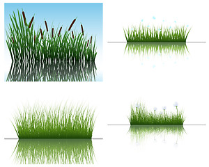 Image showing grass on water