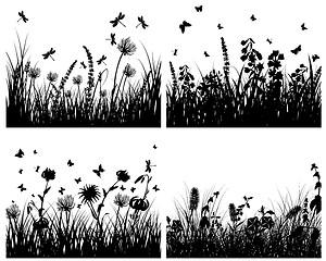 Image showing meadow silhouettes