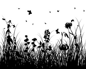 Image showing meadow silhouettes