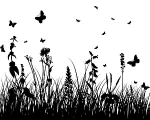 Image showing meadow silhouettes