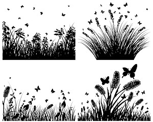 Image showing meadow silhouettes