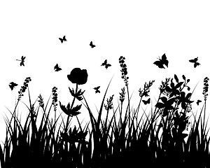 Image showing meadow silhouettes