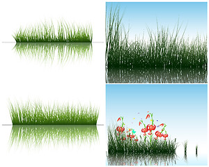 Image showing grass on water