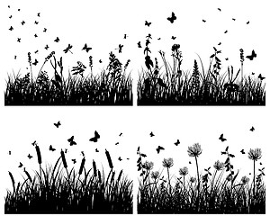 Image showing meadow silhouettes