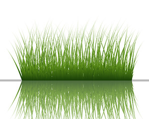 Image showing grass on water