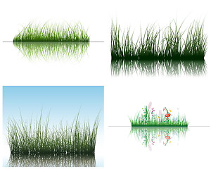 Image showing grass on water