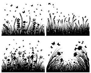 Image showing meadow silhouettes