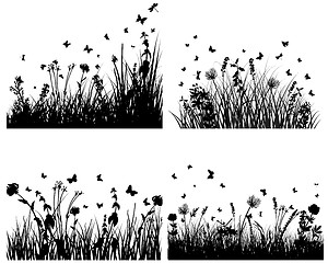 Image showing meadow silhouettes