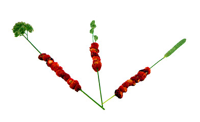 Image showing Wild forest strawberries string bent wisp isolated 