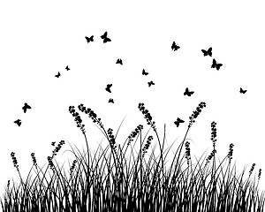 Image showing meadow silhouettes