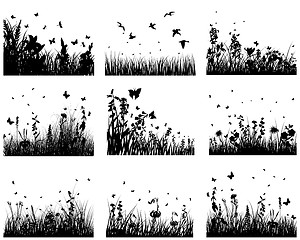 Image showing meadow silhouettes