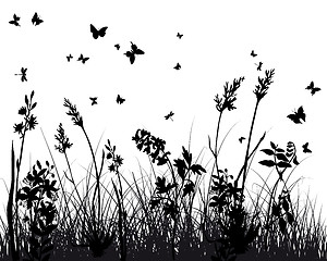 Image showing meadow silhouettes