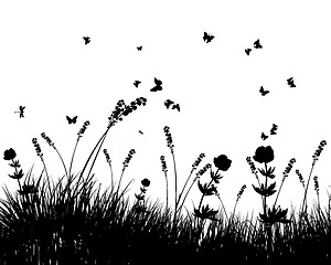 Image showing meadow silhouettes