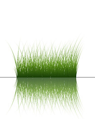 Image showing grass on water