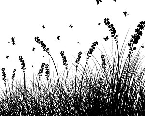 Image showing meadow silhouettes