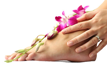 Image showing Foot and Orchid