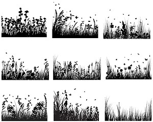 Image showing meadow silhouettes